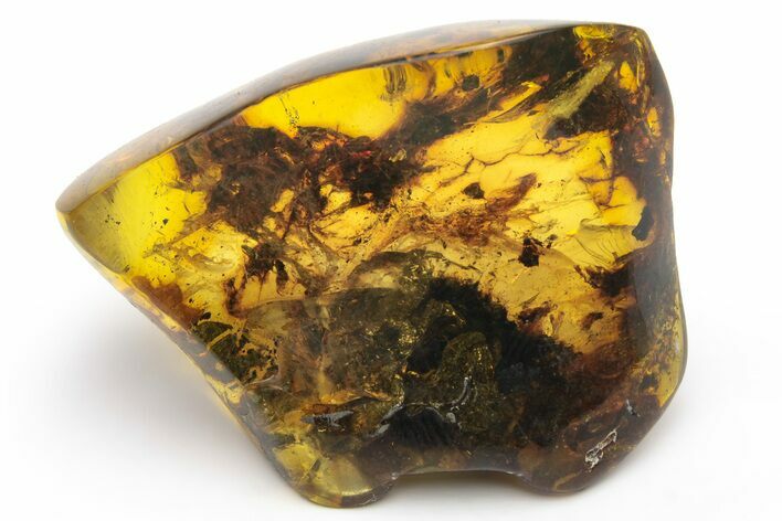 Polished Chiapas Amber ( grams) - Mexico #237385